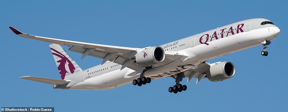 Вверху — самолет Airbus A350-1000 Qatar Airways, модель, на которой летала Харриет.