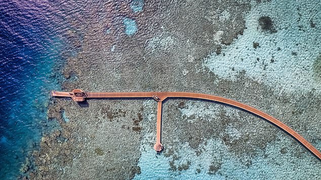 «Самое большое развлечение было бесплатным, — пишет Ричард, — деревянная пристань длиной 1500 футов [above] с "шоу в конце пирса".'  А именно – потрясающие коралловые рифы, кишащие жизнью.