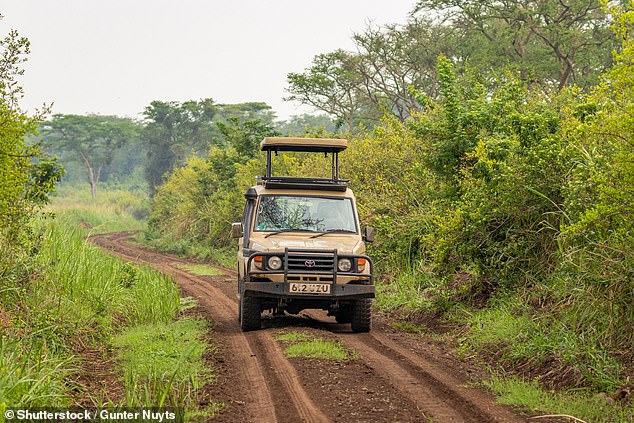 Лаура путешествует на Toyota Landcruiser, похожем на тот, что изображен здесь.