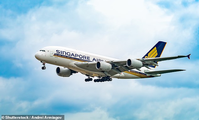 Среди парка самолетов Singapore Airlines Airbus A380 считается символом экстравагантности, но место в люксе в этом воздушном дворце может стоить до 30 000 долларов за рейс (изображение в архиве).