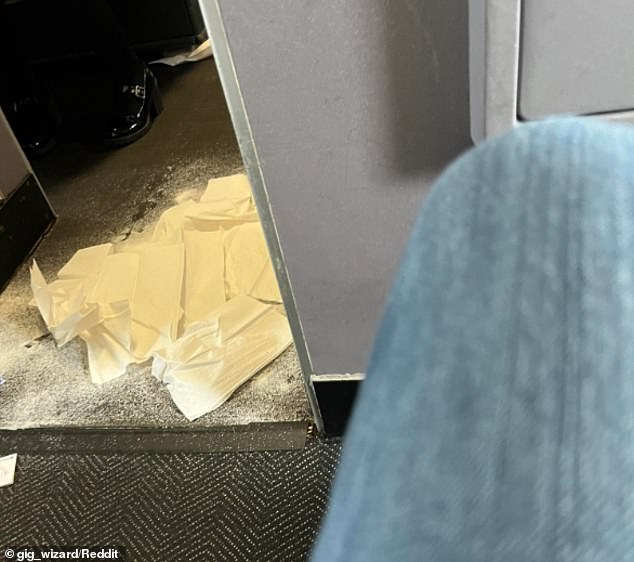 Самолет United Airlines был вынужден приземлиться после того, как собака обделалась в проходе самолета - прямо возле туалета первого класса, подтвердил представитель DailyMail.com.