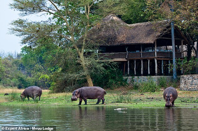 Во время сафари в Малави Малкольм Таттерсолл останавливается в отеле Mvuu Lodge (на фото), недалеко от национального парка Ливонде.