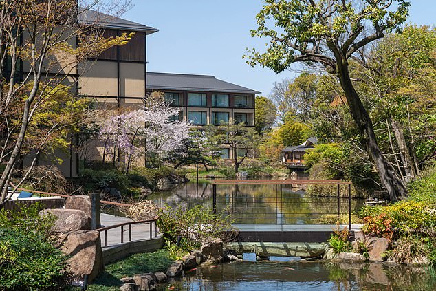 Айлбхе МакМахон регистрируется в отеле Four Seasons Kyoto.  Его 800-летний сад (вверху) был создан для самурая.