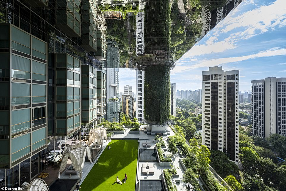Джо Кессель останавливается в эффектном отеле Pan Pacific Orchard в Сингапуре.  На фото: ухоженные газоны на садовой террасе.