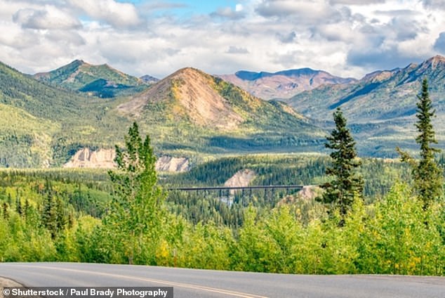 Denali National Park & ​​Preserve — небольшой парк на Аляске с 28 тропами и 241 кемпингом. Посетители часто любят ходить в походы вне его троп