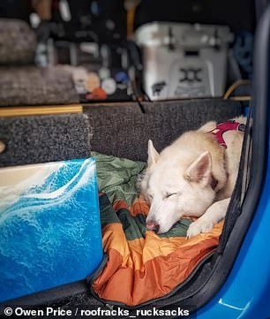 Оуэн путешествует с собаками Райли, 13 лет, и Скай, 9 лет.