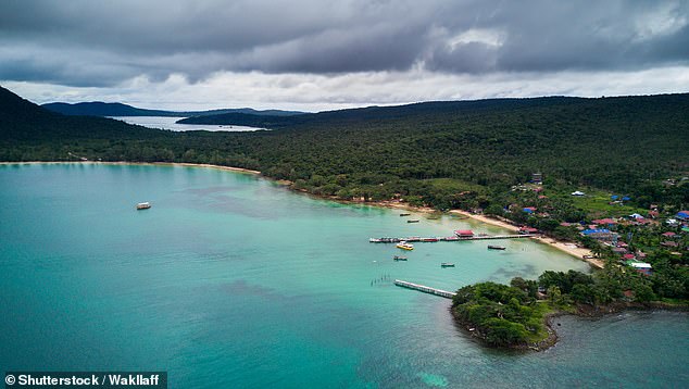 Во время визита на остров Ко Ронг Самлоем, выше, Аннабель плавает среди биолюминесцентного планктона.