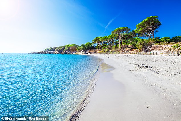 Plage de Palombaggia, «невероятно красивый пляж» на Корсике, Франция, занимает 10-е место в списке