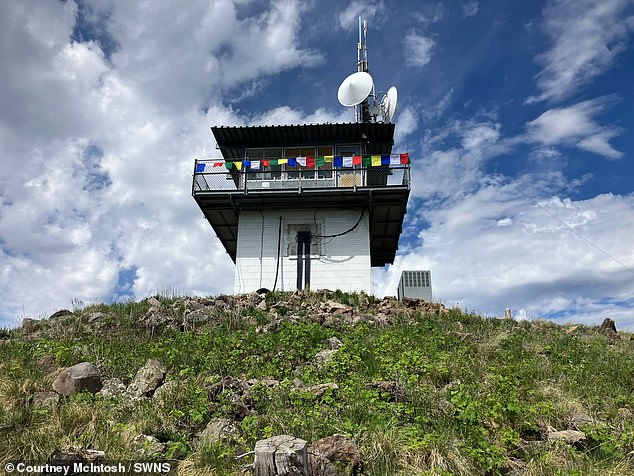 Кортни Макинтош, 34 года, переехала в крошечную пожарную будку размером 14 на 14 футов в дебрях Национального леса Санта-Фе, штат Нью-Мексико, в апреле после того, как устроилась на новую работу.