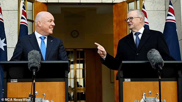Пилотная программа была анонсирована после встречи премьер-министра Новой Зеландии Кристофера Люксона и Энтони Альбанезе в Канберре.