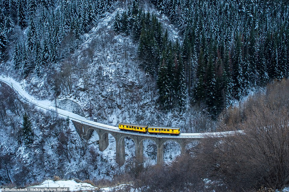 Le Petit Train Jaune медленно движется по каньонам к самой высокой станции французской железнодорожной сети