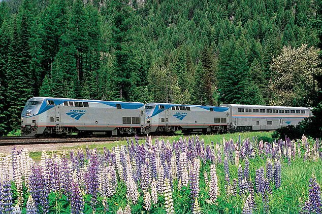 Поезд Amtrak (на фото) был закрыт летом на ремонт путей, но теперь он снова работает, сообщает Аннабель.