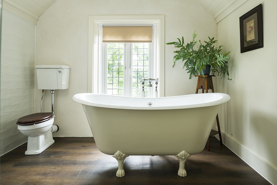 Роскошь: Trebah Lodge (вверху) описана Софи как «уютное, комфортное жилище».