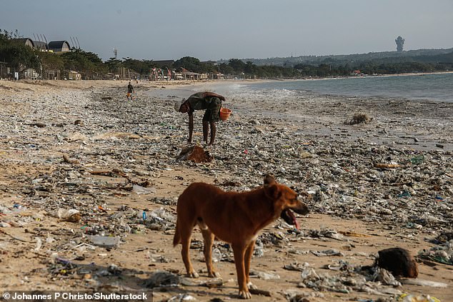 Избегайте: чрезмерный туризм превратил Бали в «пластмассовый апокалипсис»