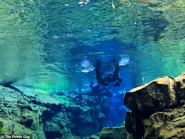 Ники дрейфует в воде... как дрейфуют тектонические плиты.