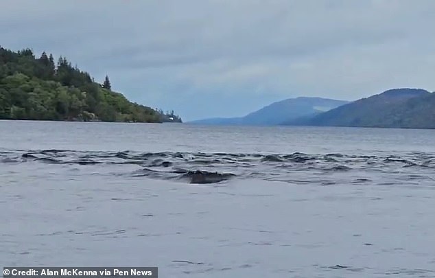 Пики стоячих волн, возвышающиеся над спокойной водой, можно принять за «горбы» над поверхностью.