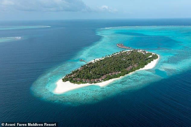 Кэрол Драйвер отправляется на остров Avani+ Fares Maldives (вверху), расположенный на западной окраине «невероятно красивого атолла Баа»