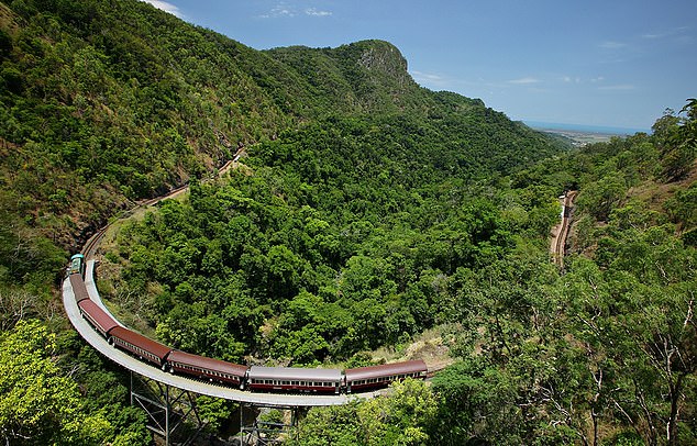 Том Чесшир из MailOnline Travel садится на живописную железную дорогу Куранды (вверху)
