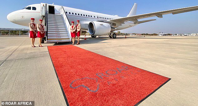 Roar Africa предлагает невероятные сафари с пересадкой на борту частного самолета Emirates Executive Private Jet (вверху) — индивидуального Airbus A319.