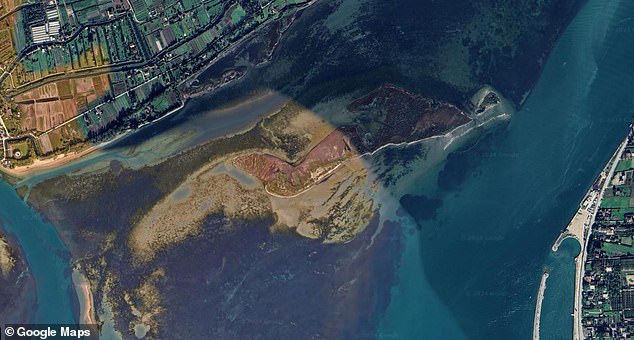 Однако формирование острова может быть признаком того, что защита от наводнений предотвращает штормовые волны, переносящие ил в близлежащие солончаки. Это может привести к коллапсу этой жизненно важной экосистемы, которая хранит в 30 раз больше CO2, чем лес такого же размера.