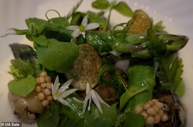 «Вкус весны» — беби Jersey Royals со спаржей, сыром Линкольншир Браконьер и маринованными семенами горчицы. UA говорит, что это похоже на «эльфийский лес»