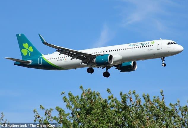 Исследование ирландской авиакомпании Aer Lingus, выполняющей рейсы в США из Манчестера и Дублина, показало, что почти половина английских северян никогда не бывала в США. Вверху — самолет Aer Lingus A321neo, приближающийся к аэропорту имени Джона Кеннеди.